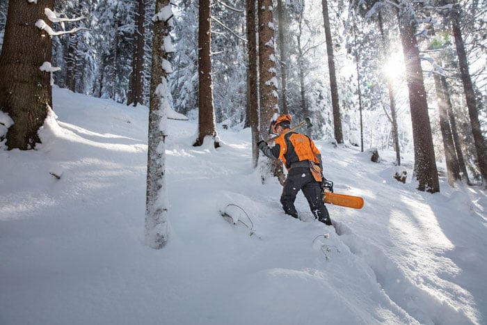 Alternate Image of STIHL MS 462 C-M Professional Saw