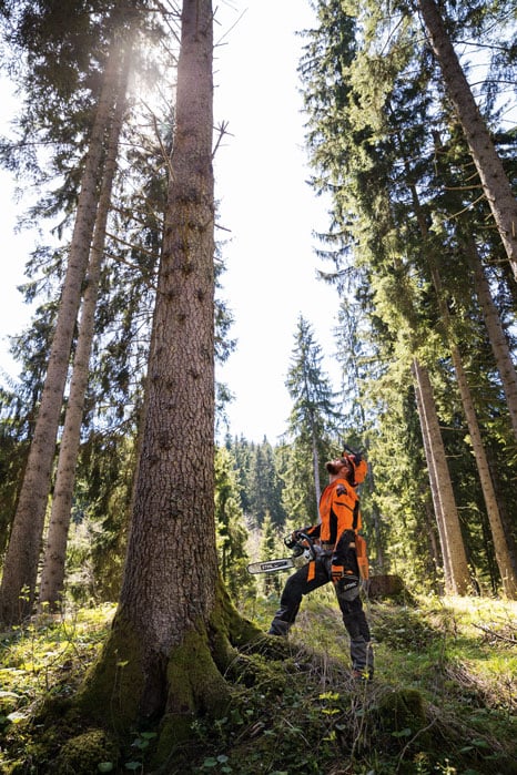 Alternate Image of STIHL MS 462 C-M Professional Saw