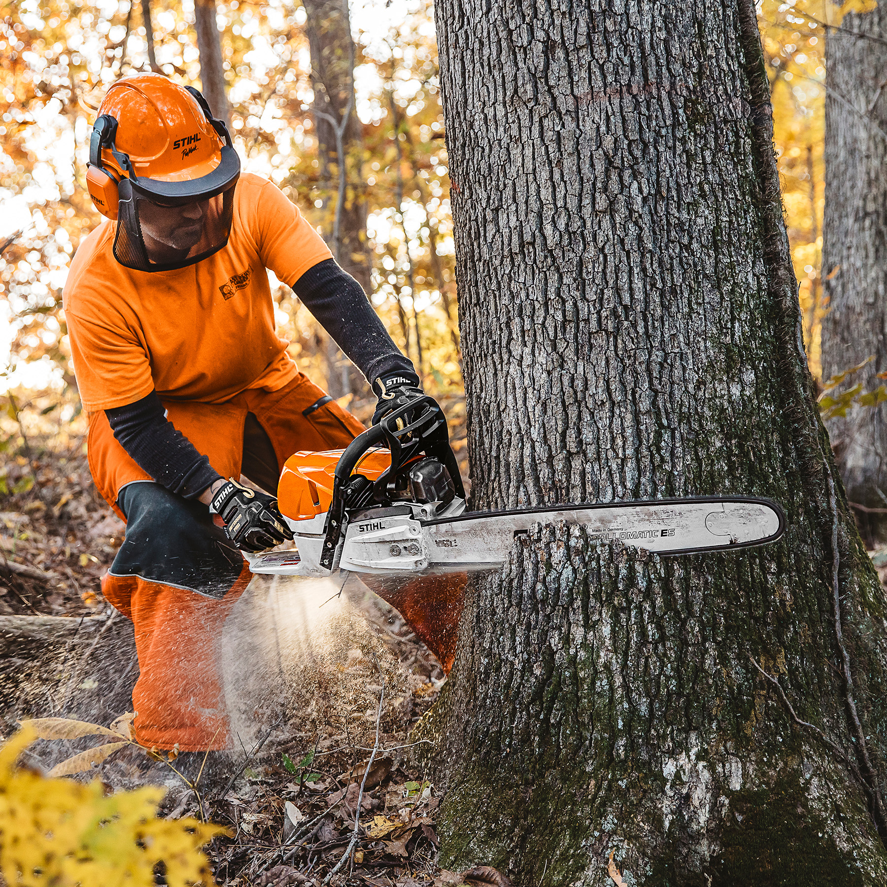 Alternate Image of STIHL MS 462 R C-M Professional Saw