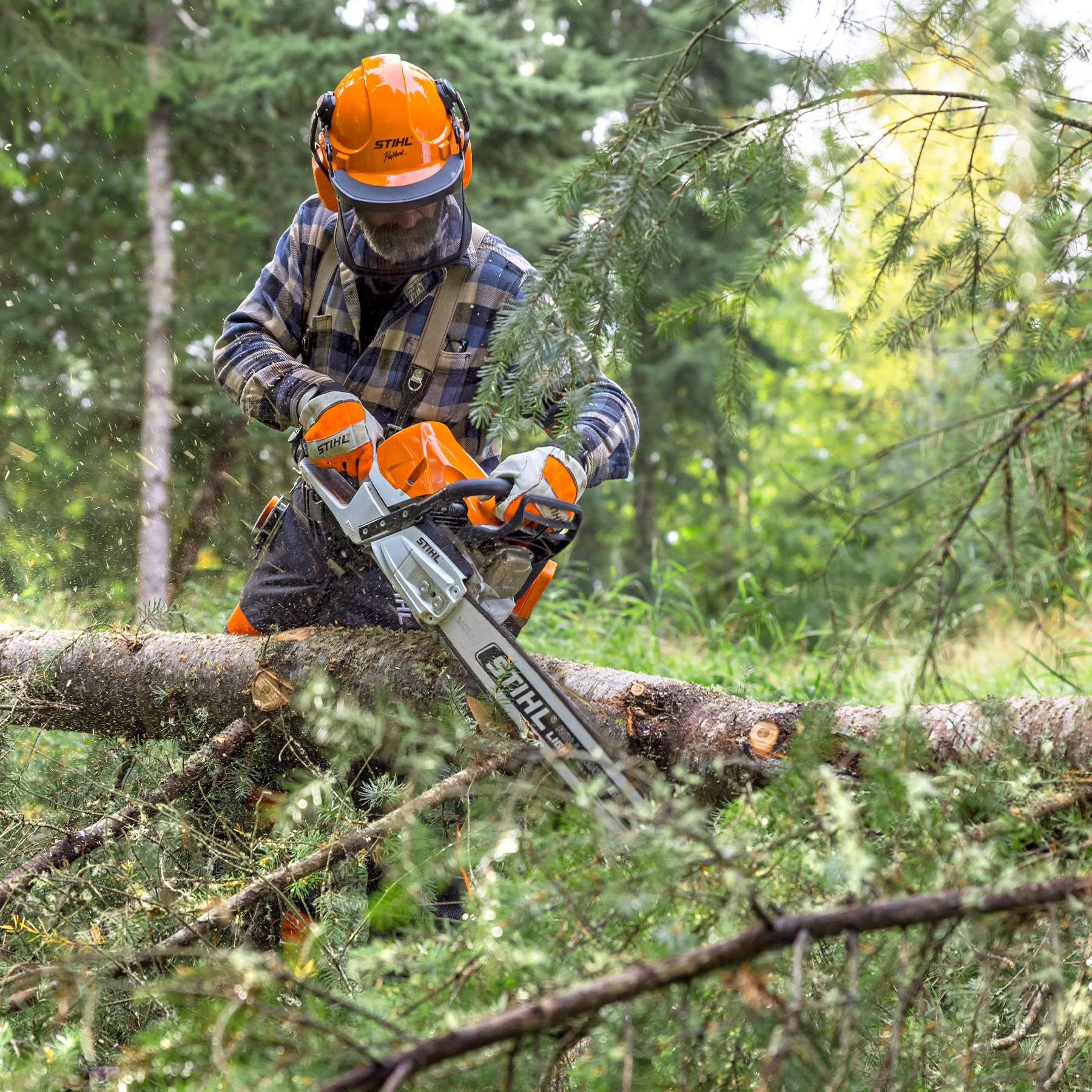 Alternate Image of STIHL MS 462 R C-M Professional Saw