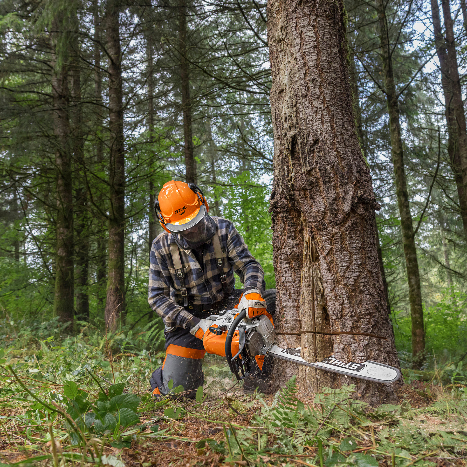 Alternate Image of STIHL MS 462 R C-M Professional Saw