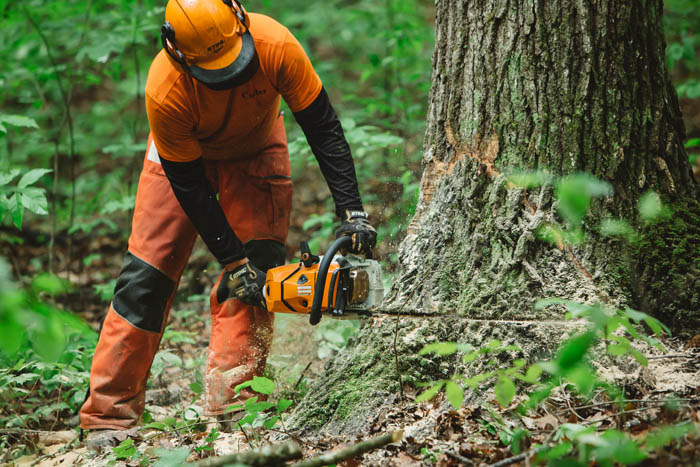 Alternate Image of STIHL MS 500¡ Professional Saw