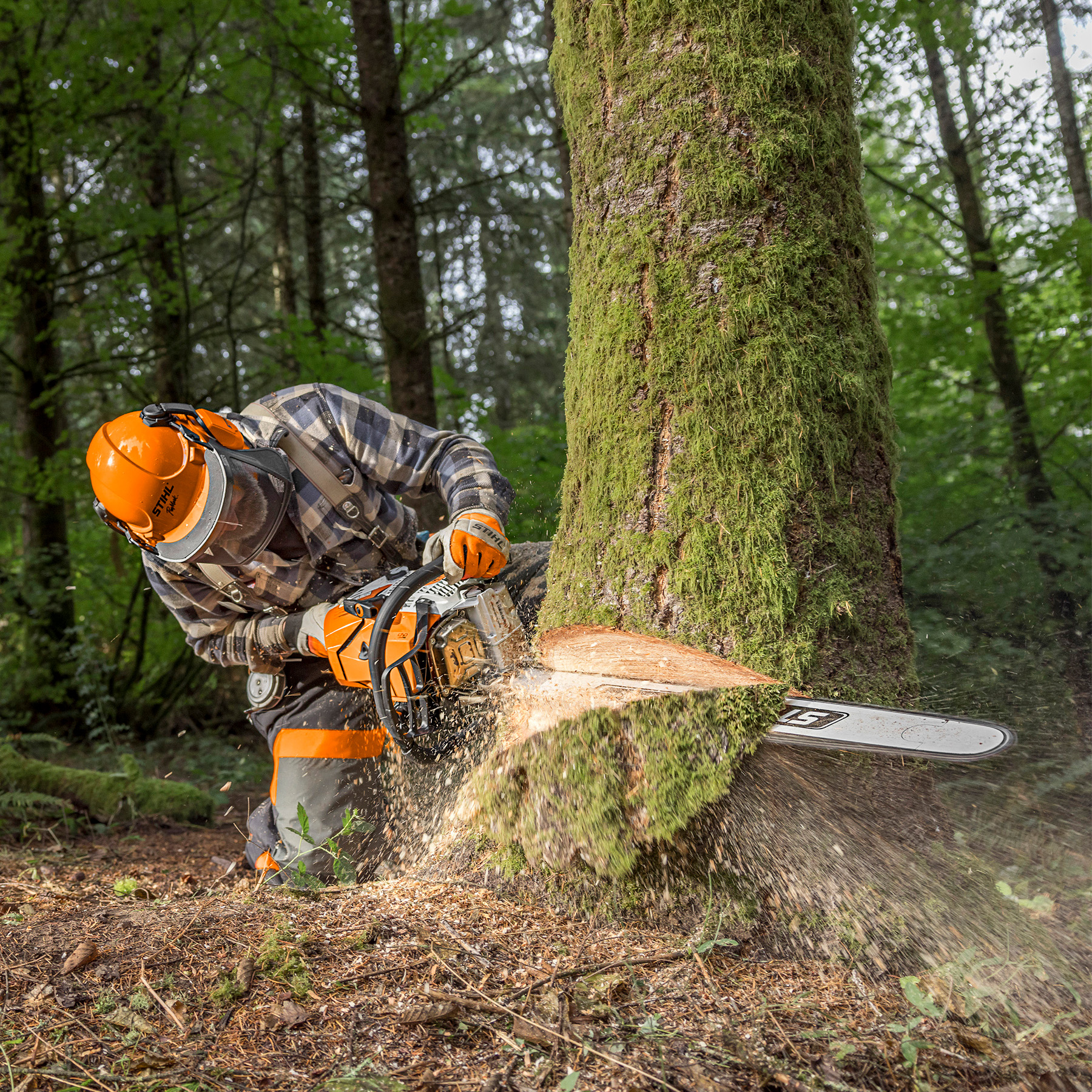 Alternate Image of STIHL MS 500¡ R Professional Saw