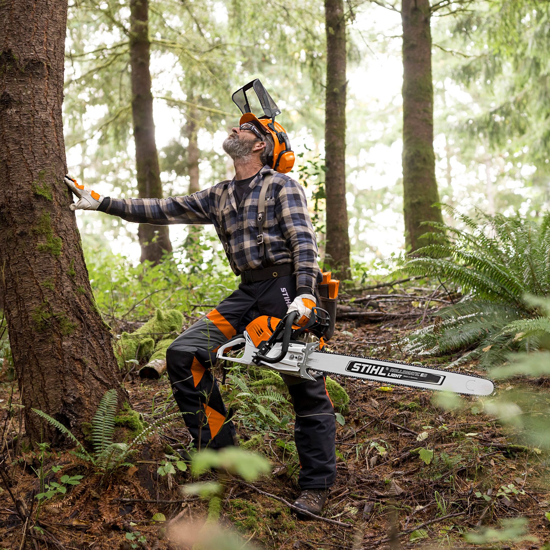 Alternate Image of STIHL MS 500¡ R Professional Saw