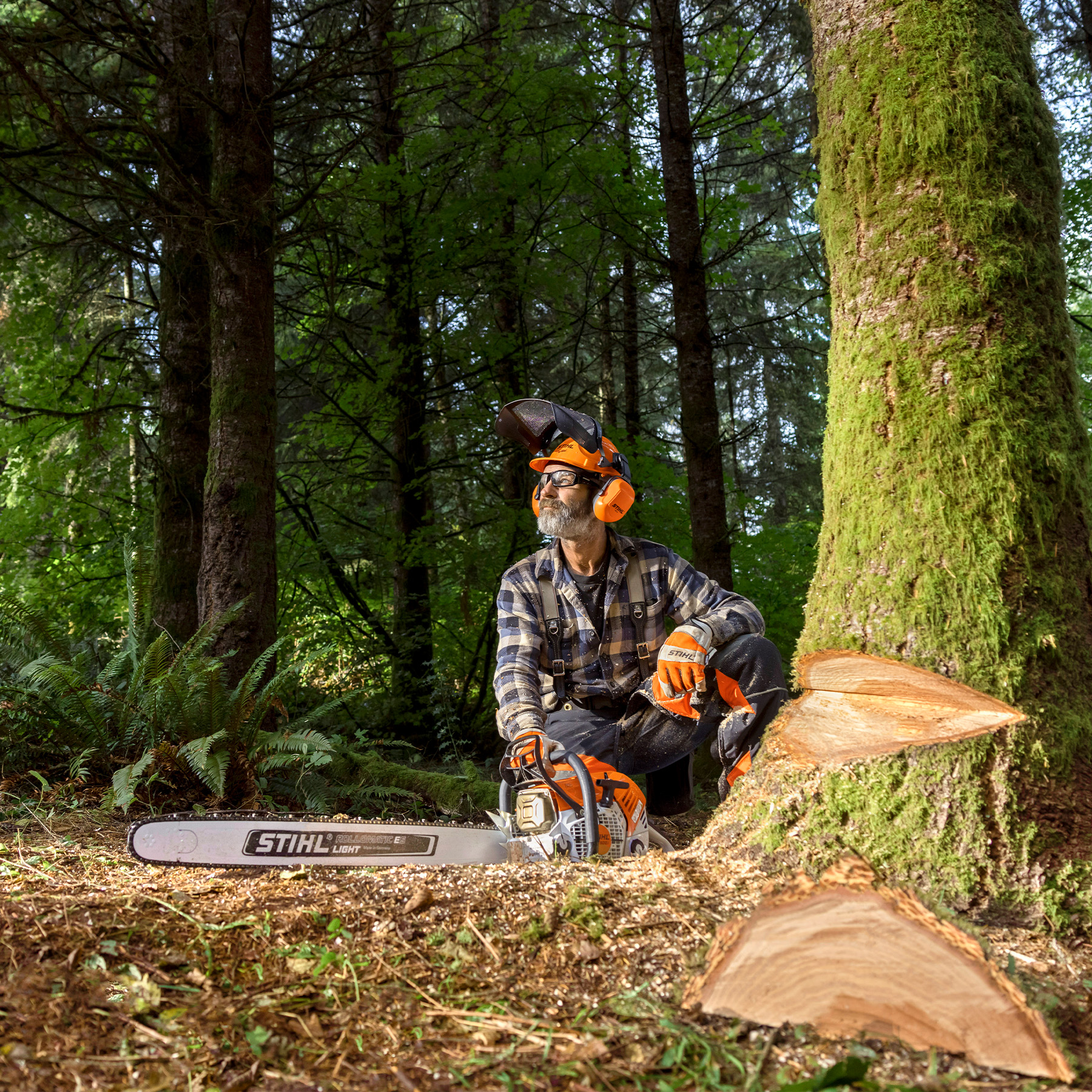 Alternate Image of STIHL MS 500¡ R Professional Saw