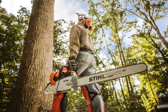 Alternate Image of STIHL MS 661 C-M MAGNUM® Professional Saw