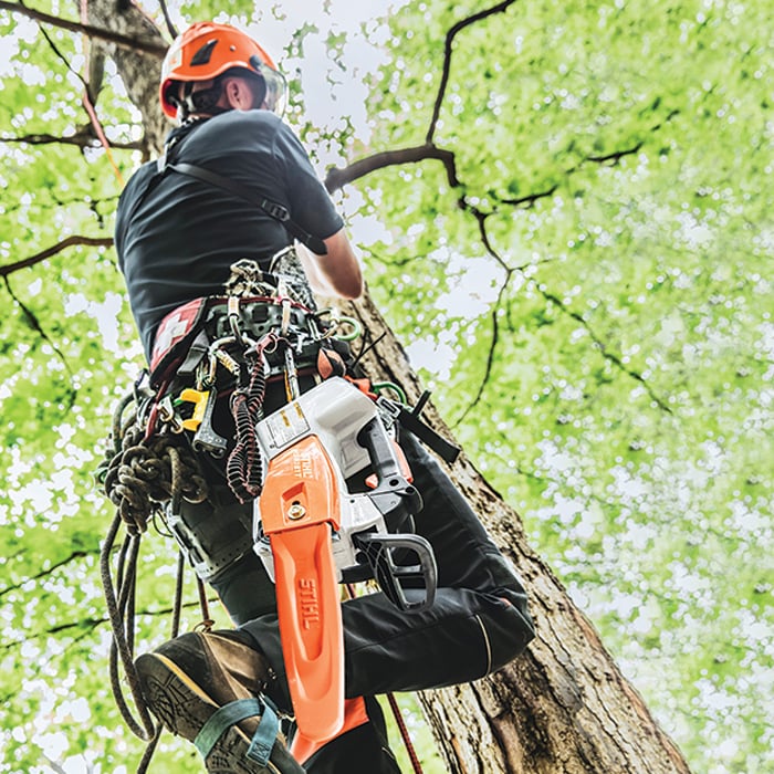 Alternate Image of STIHL MSA 161 T Battery Saw