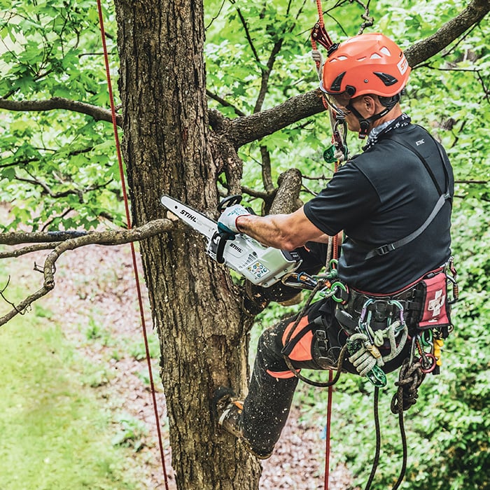 Alternate Image of STIHL MSA 161 T Battery Saw