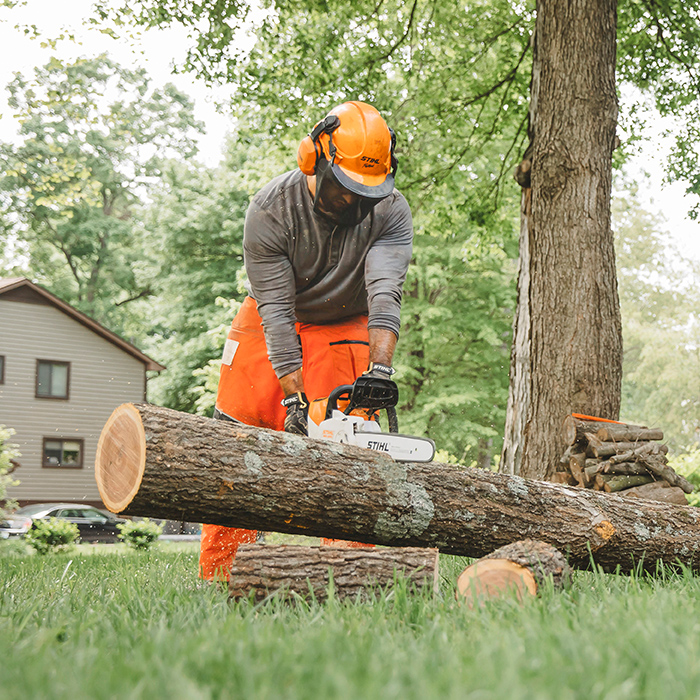Alternate Image of STIHL MSA 220 C-B Battery Powered Chainsaw Battery Saw