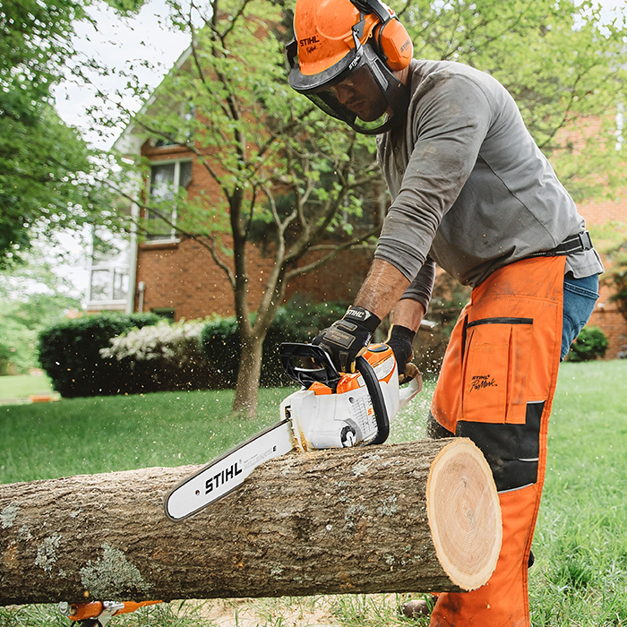 Alternate Image of STIHL MSA 220 C-B Battery Powered Chainsaw Battery Saw