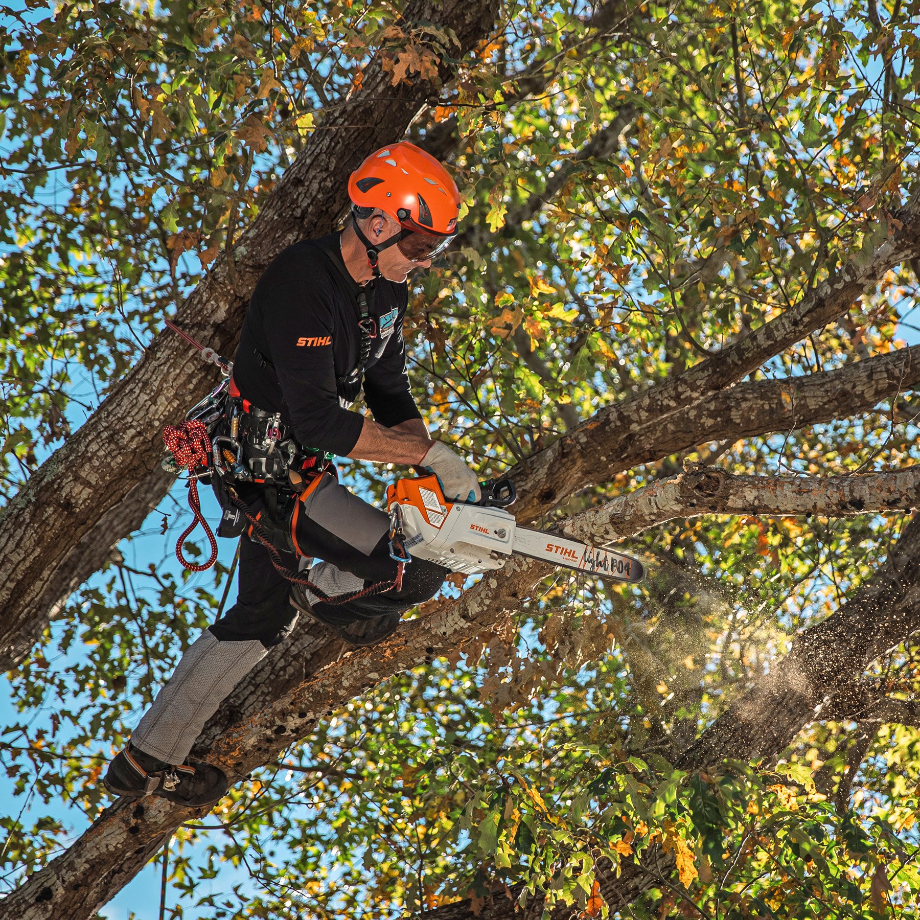 Alternate Image of STIHL MSA 220 TC-O Top Handle Chainsaw Battery Saw