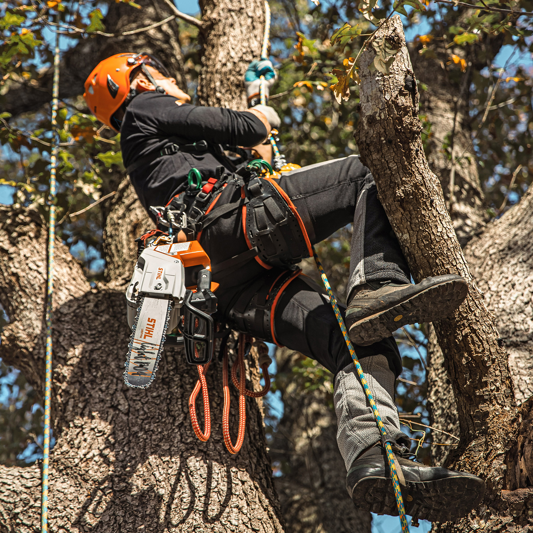 Alternate Image of STIHL MSA 220 TC-O Top Handle Chainsaw Battery Saw