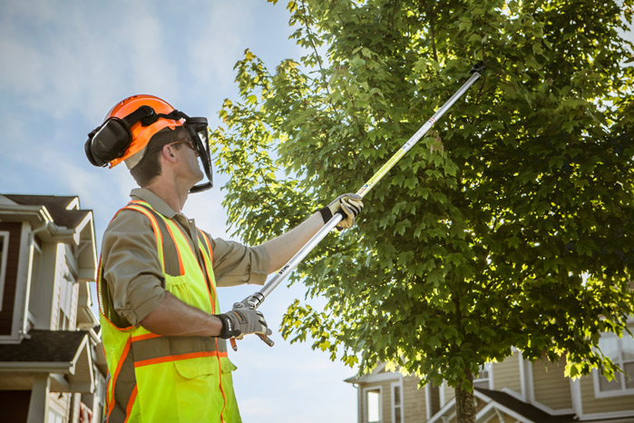Alternate Image of STIHL PP 101 Long Reach Pruner Professional Pole Pruner
